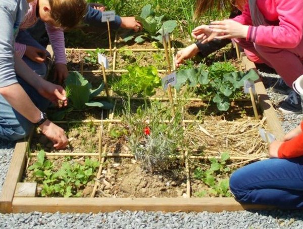 Petite enfance et éducation